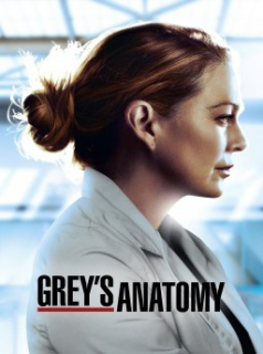 voir serie Grey's Anatomy en streaming