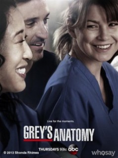 voir serie Grey's Anatomy saison 10